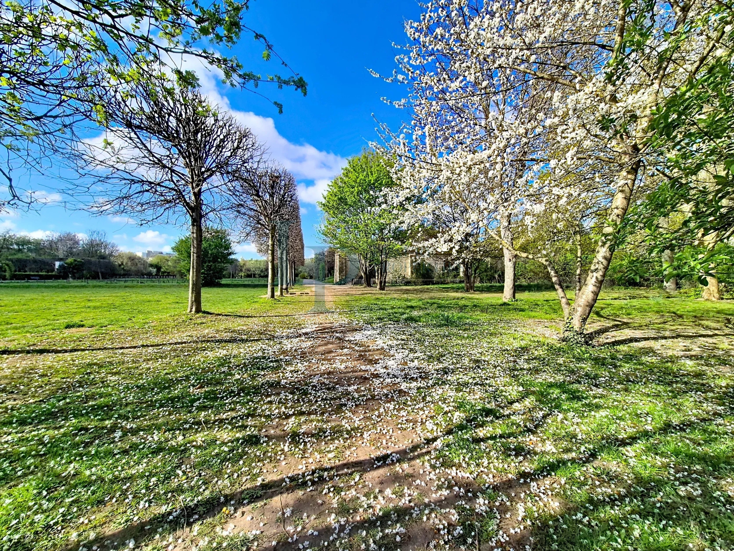 Superbe 2 pièces sur l’île St Germain à Issy-les-Moulineaux