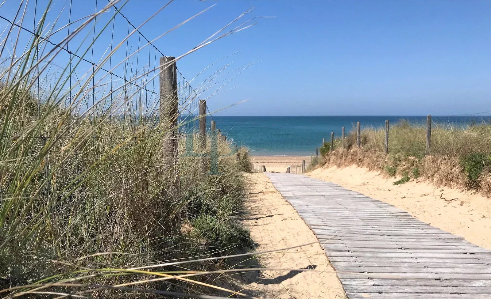 Île de Ré for ever !