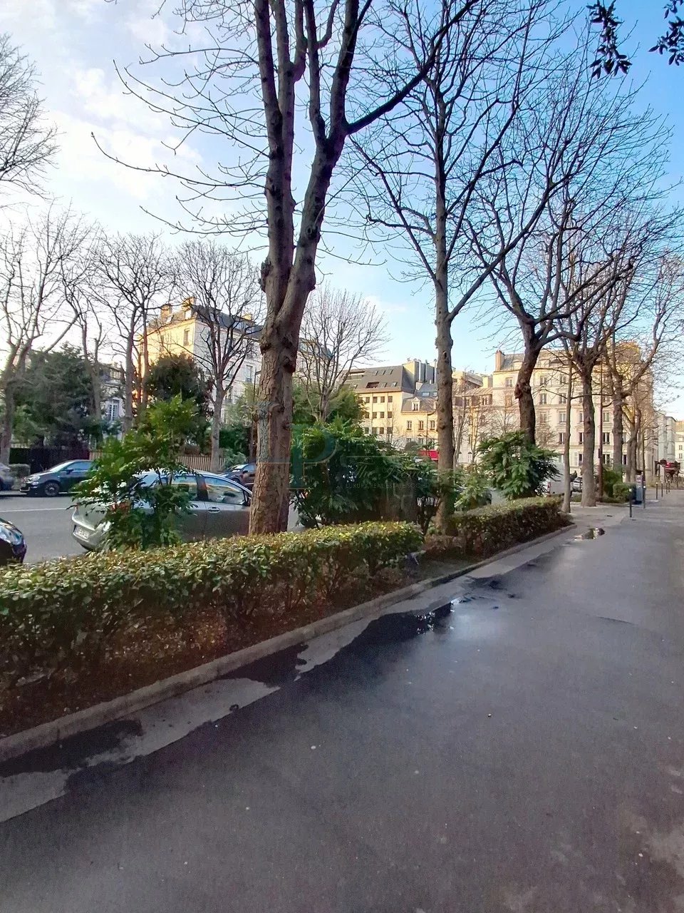 Appartement 84 m2 – Neuilly Sur Seine – 3 pièces – Les Sablons